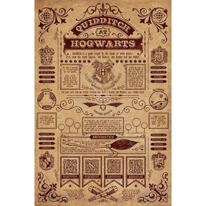 Harry Potter Quidditch at Hogwarts plakát vícebarevný