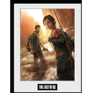 The Last Of Us Key Art Zarámovaný obraz standard