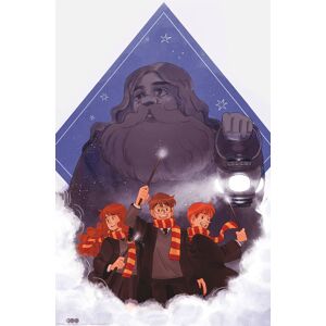 Harry Potter Hagrid plakát vícebarevný