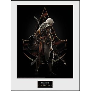 Assassin's Creed Origins - Assassin Zarámovaný obraz standard