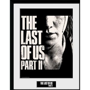 The Last Of Us 2 - Face Zarámovaný obraz standard
