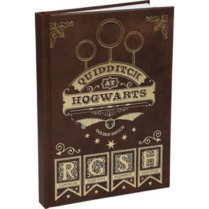 Harry Potter Quidditch Notes vícebarevný