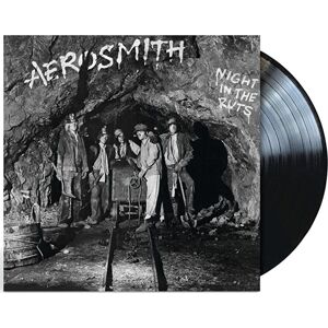 Aerosmith Night in the ruts LP standard