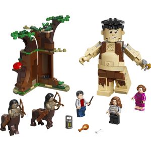 Harry Potter 75967 - Der Verbotene Wald: Begegnung mit Umbridge Lego standard
