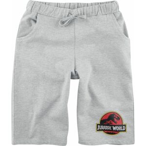 Jurassic Park Kids - Jurassic World - Logo detské kratasy smíšená svetle šedá