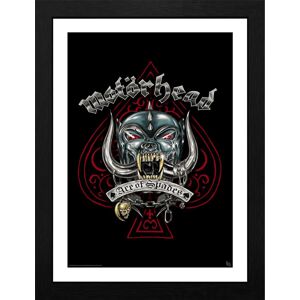 Motörhead Pig Tattoo Zarámovaný obraz standard