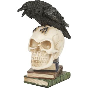 Alchemy England Poe's Raven dekorace lebka standard