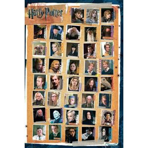 Harry Potter Characters plakát vícebarevný