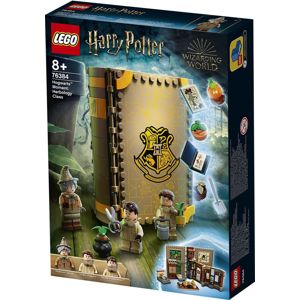 Harry Potter 76384 - Hogwarts Moment: Herbology Class Lego standard