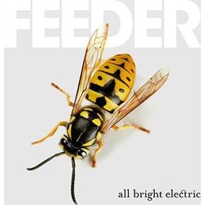 Feeder All bright electric CD standard