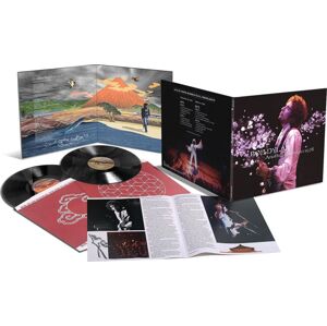 Bob Dylan Another Budokan 1978 2-LP standard