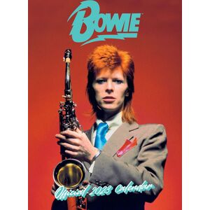 David Bowie A3 nástěnný kalendář 2023 Nástenný kalendář vícebarevný