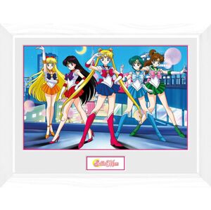 Sailor Moon Group Zarámovaný obraz vícebarevný