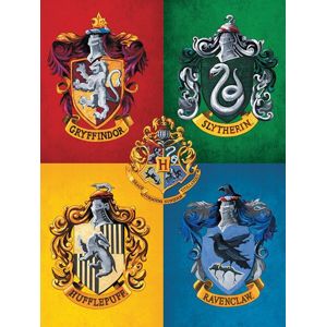 Harry Potter Colourful Crests tisk na plátne standard
