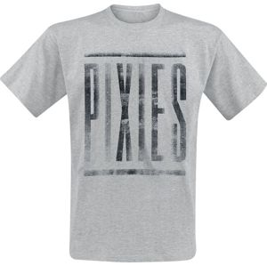 Pixies Dirty Logo tricko šedá