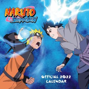 Naruto Nástěnný kalendář Shippuden - 2022 Nástenný kalendář vícebarevný
