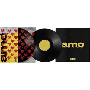 Bring Me The Horizon Amo 2-LP standard