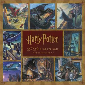 Harry Potter Kalendář na zeď Books - 2024 Nástenný kalendář vícebarevný