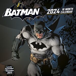 Batman Kalendář na zeď 2024 Nástenný kalendář vícebarevný