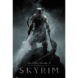 The Elder Scrolls V - Skyrim - Dragonborn plakát vícebarevný