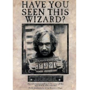 Harry Potter Wanted Sirius Black plakát vícebarevný