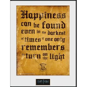 Harry Potter Happiness Zarámovaný obraz vícebarevný