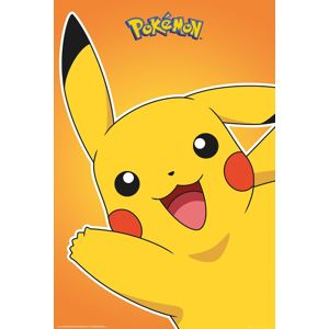 Pokémon Pikachu plakát vícebarevný
