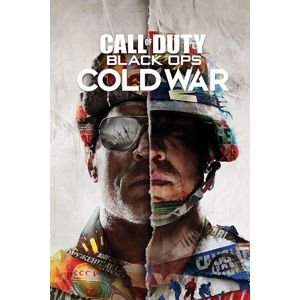 Call Of Duty Black Ops: Cold War - Split plakát vícebarevný