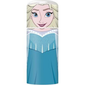 Frozen Character Bottle láhev standard