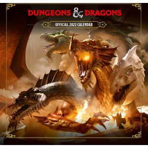 Dungeons and Dragons Nástěnný kalendář 2022 Nástenný kalendář vícebarevný