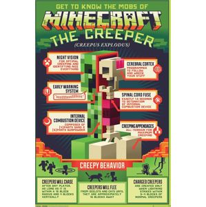 Minecraft Creepy Behaviour plakát vícebarevný