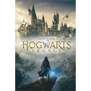 Harry Potter Hogwarts Legacy plakát vícebarevný