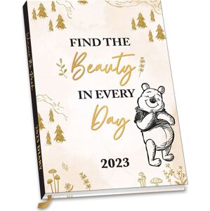 Medvídek Pu A5 Kalenderbuch 2023 Diář vícebarevný