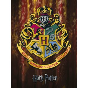 Harry Potter Hogwarts Crest tisk na plátne standard
