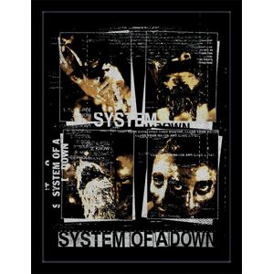 System Of A Down Distortion Zarámovaný obraz vícebarevný