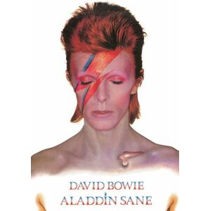 David Bowie Aladdin Sane plakát vícebarevný