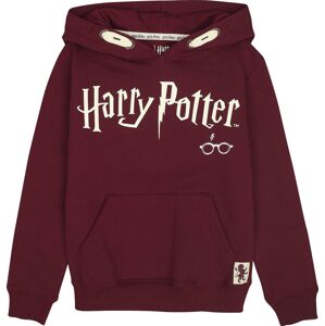Harry Potter Kids - Hogwarts detská mikina s kapucí červená