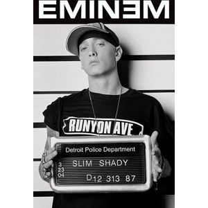 Eminem Mugshot plakát vícebarevný