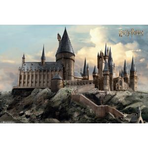 Harry Potter Hogwarts Day plakát vícebarevný