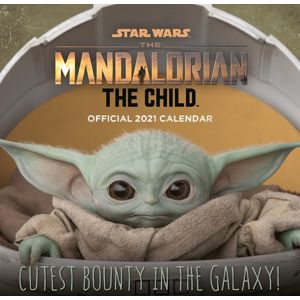 Star Wars Wandkalender 2021 - The Mandalorian - The Child Nástenný kalendár vícebarevný