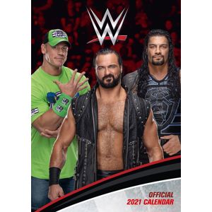 WWE Wandkalender 2021 - Men Nástenný kalendár vícebarevný