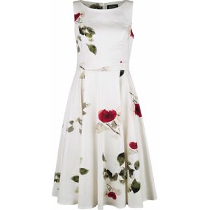 H&R London Šaty s kruhovou suknou Maeva Šaty vícebarevný