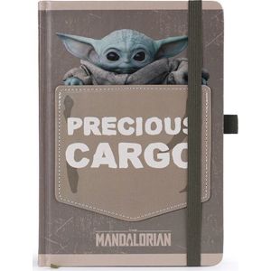 Star Wars The Mandalorian - Precious Cargo Notes vícebarevný