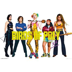 Birds Of Prey Group plakát vícebarevný