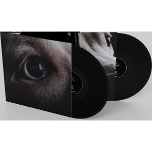Waters, Roger Dark side of the moon - Redux 2-LP standard