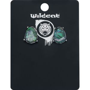 Wildkitten® Crystal Opalite Earstuds sada náušnic stríbrná