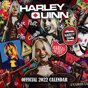 Harley Quinn Nástěnný kalendář 2022 Nástenný kalendář vícebarevný