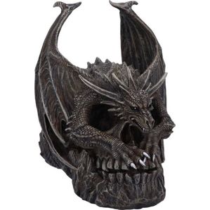 Nemesis Now Draco Skull dekorace lebka standard