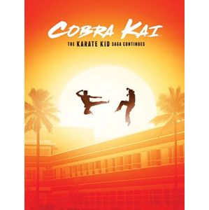 Cobra Kai The Karate Kid Saga continues plakát vícebarevný