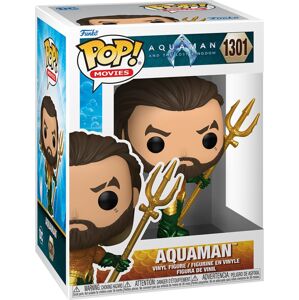 Aquaman Aquaman and the lost Kingdom - Aquaman Vinyl Figur 1301 Sberatelská postava standard